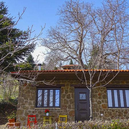 Γήλοφος Villa Ано Трикала Екстериор снимка